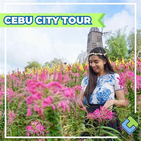 cebu tours|Top 10 Cebu Tours 2024 .
